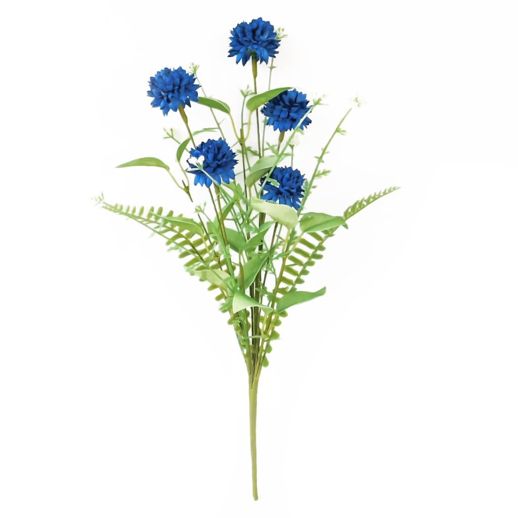 aa