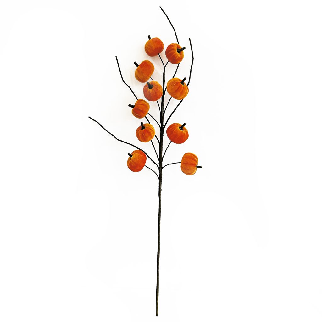 se
