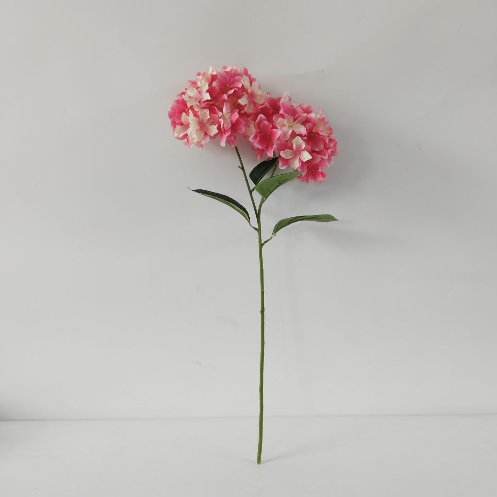 hgt